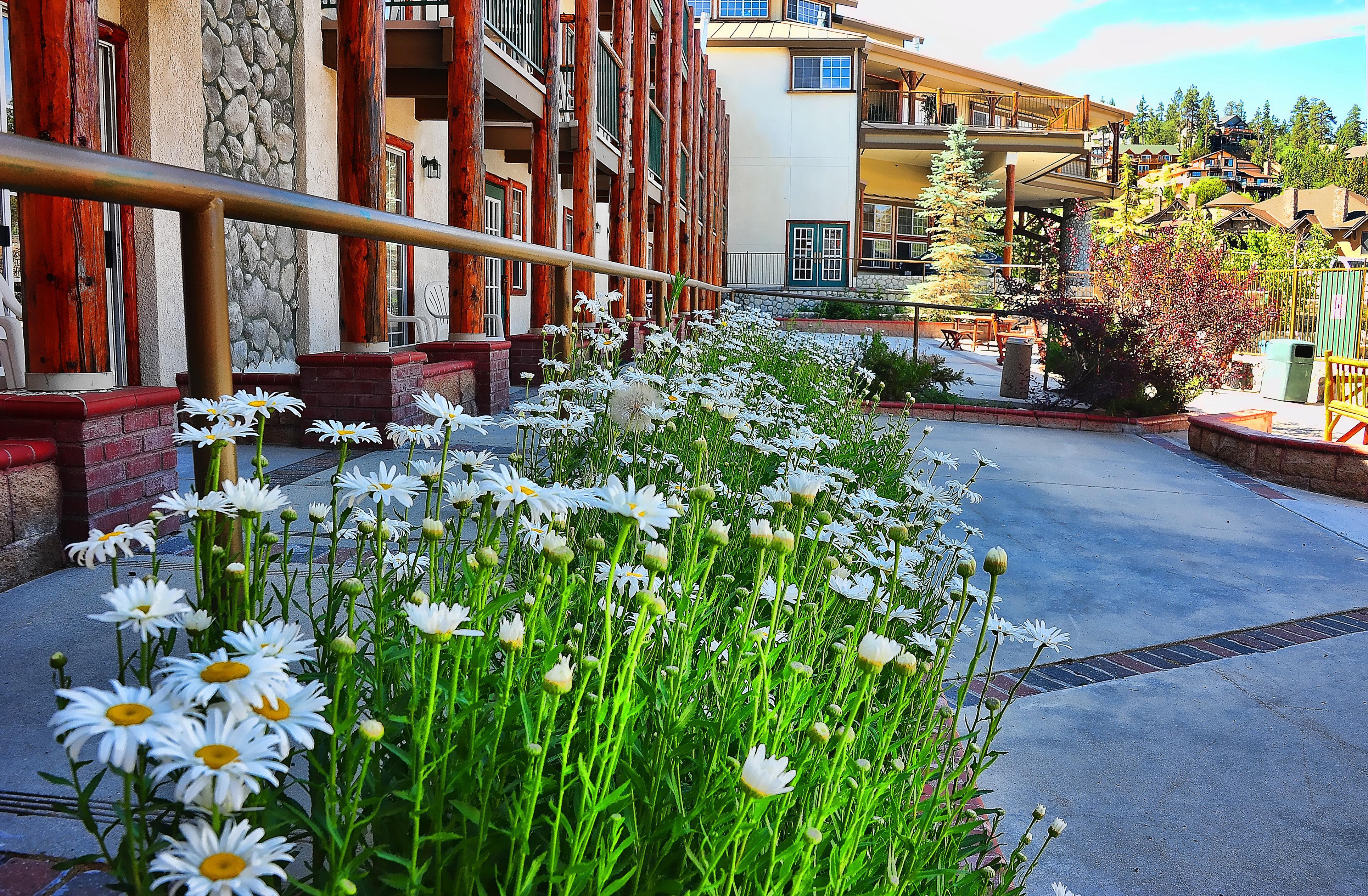 Holiday Inn Resort The Lodge At Big Bear Lake By Ihg Екстер'єр фото